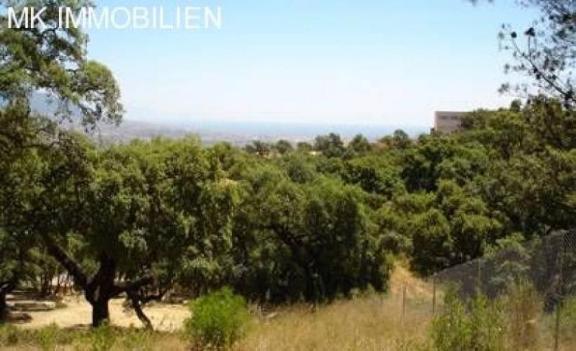 Grundstück kaufen ELVIRIA max 13slg8zmy32w