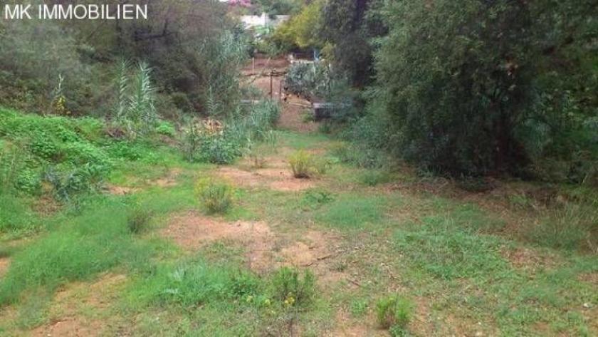 Grundstück kaufen ELVIRIA max zf03lvhkr5f1