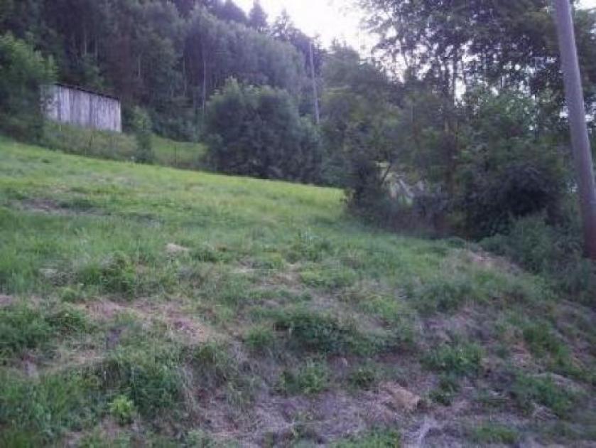 Grundstück kaufen Epfendorf max xz337fm68l21