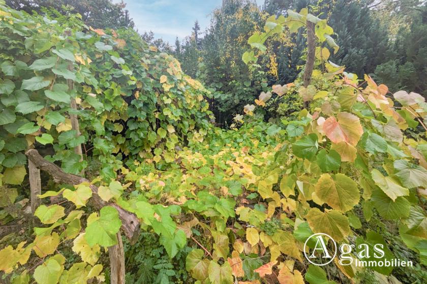 Grundstück kaufen Erkner max 3lahqs4pv6k7