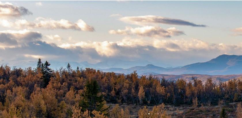 Grundstück kaufen Etnedal max pane6ofd25iw