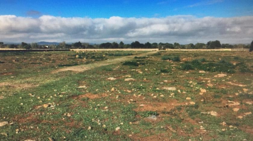 Grundstück kaufen Felanitx max kwio0c62i2zr