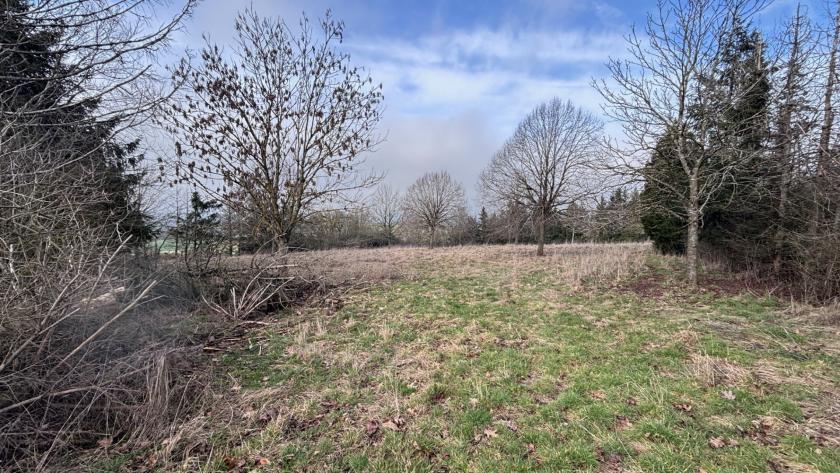 Grundstück kaufen Feldatal max rmtu08worqev