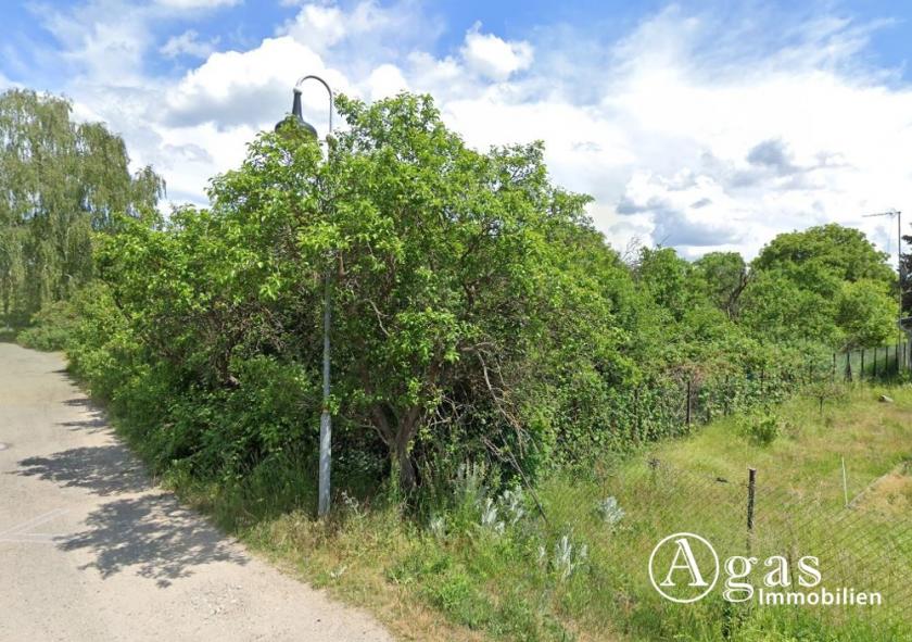 Grundstück kaufen Groß Lindow max b8quefvc4gt7