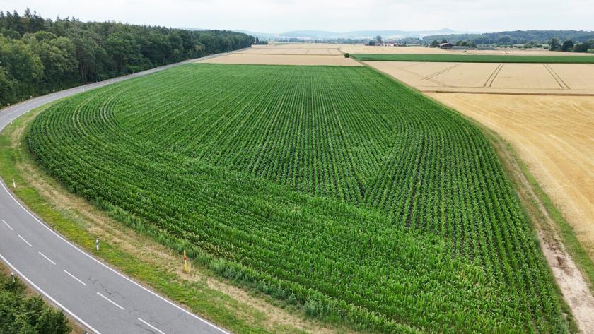 Grundstück kaufen Groß-Umstadt max x9vjnjrr8y1e