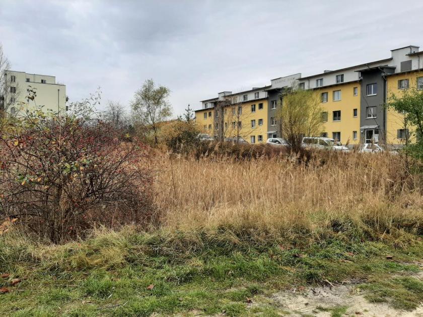 Grundstück kaufen Halle (Saale) max tewin50r4uz1