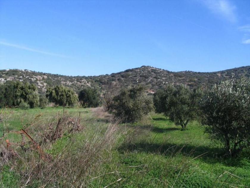 Grundstück kaufen Hamilo, Lakonia, Agios Nikolaos, Lasithi, Kreta max hnbdnemixjxw