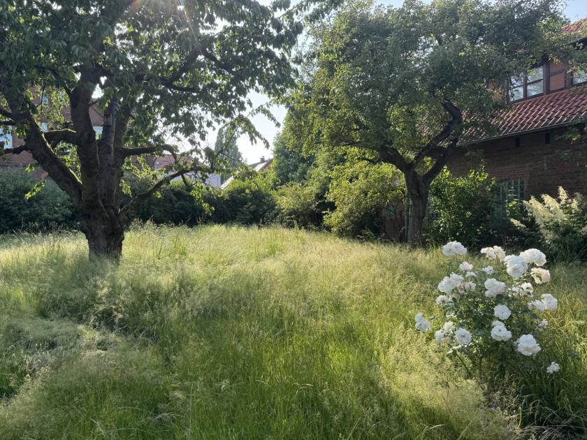 Grundstück kaufen Hannover max tpxj76br8q6b