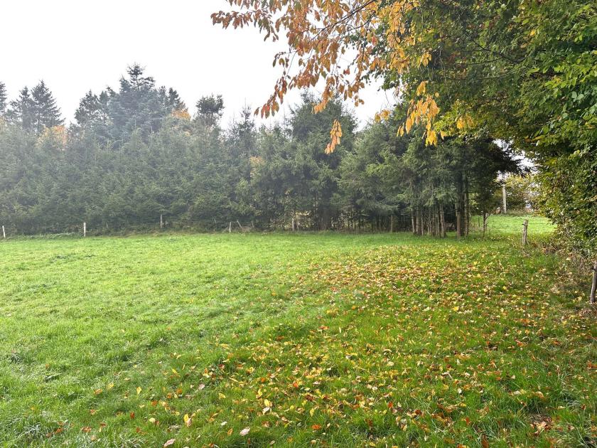 Grundstück kaufen Hellenthal max anw3j3g2z2xj