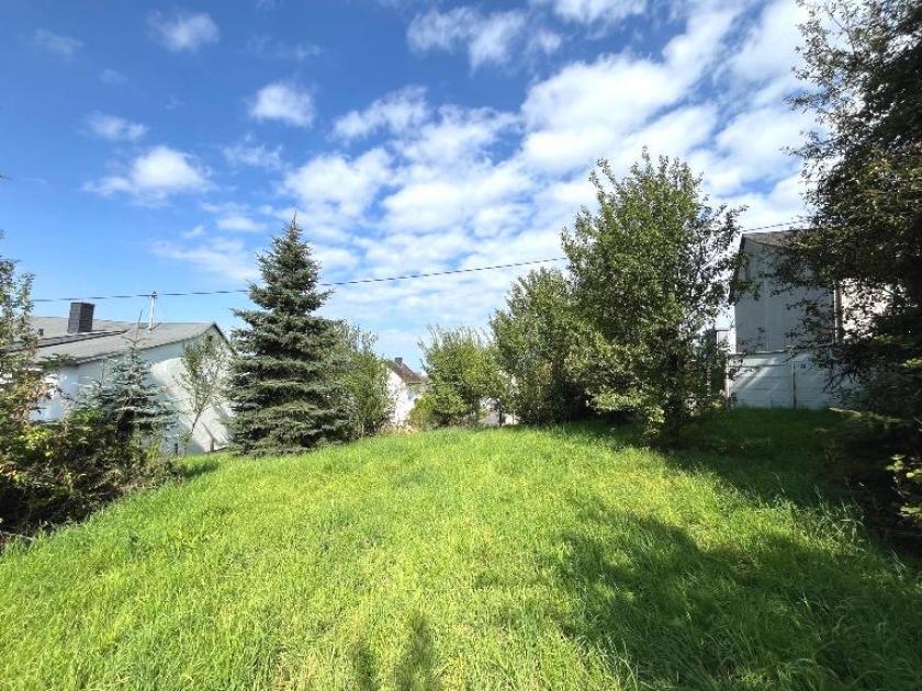 Grundstück kaufen Hillscheid max iz76fhz5xo03