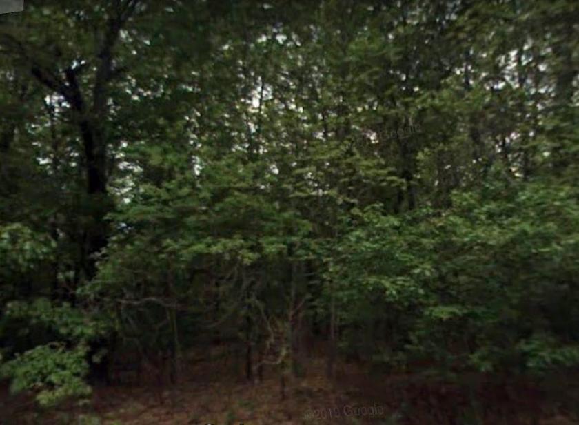 Grundstück kaufen Horseshoe Bend max 196p2nsrgl93