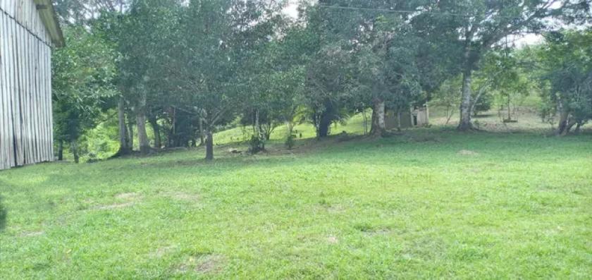 Grundstück kaufen max 3c0j7a1hmjns