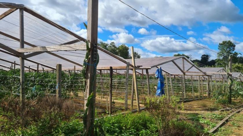 Grundstück kaufen max 5zjgz9lxvt64