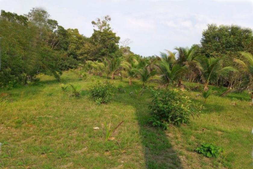 Grundstück kaufen max 8wwfoje8ubg4