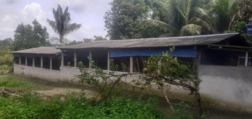 Grundstück kaufen max g7ywzyo3sl8e