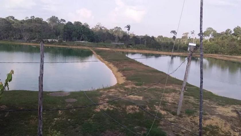 Grundstück kaufen max grc1zninjz0w