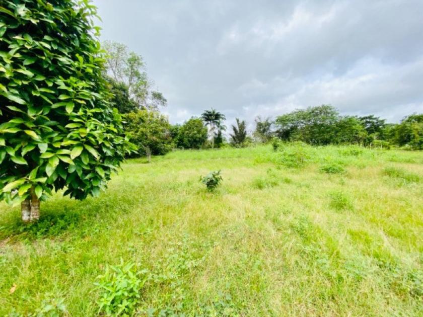 Grundstück kaufen max qko081x5wucm