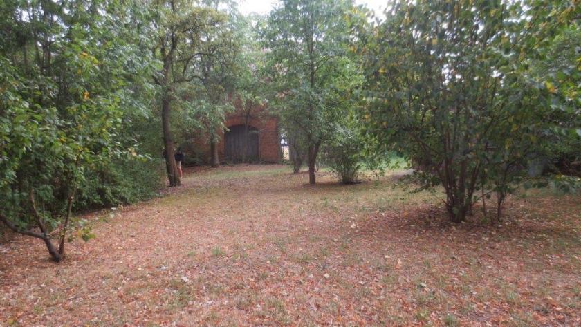 Grundstück kaufen max rr605dcw7qwo