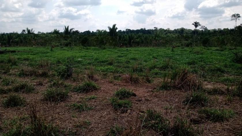 Grundstück kaufen max xnv5wo1abzd9