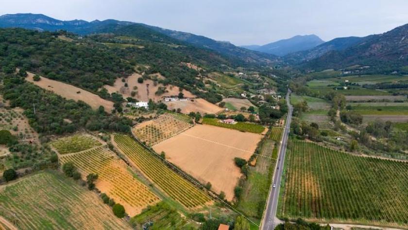 Grundstück kaufen Jerzu max iw6p1vmnkt9h