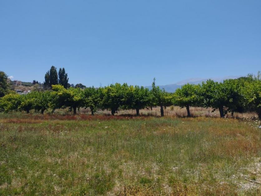 Grundstück kaufen Kalyves max cnyue2avjrvs