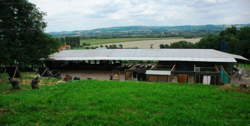 Grundstück kaufen Kehidakustány max 8digdjhtuxj6