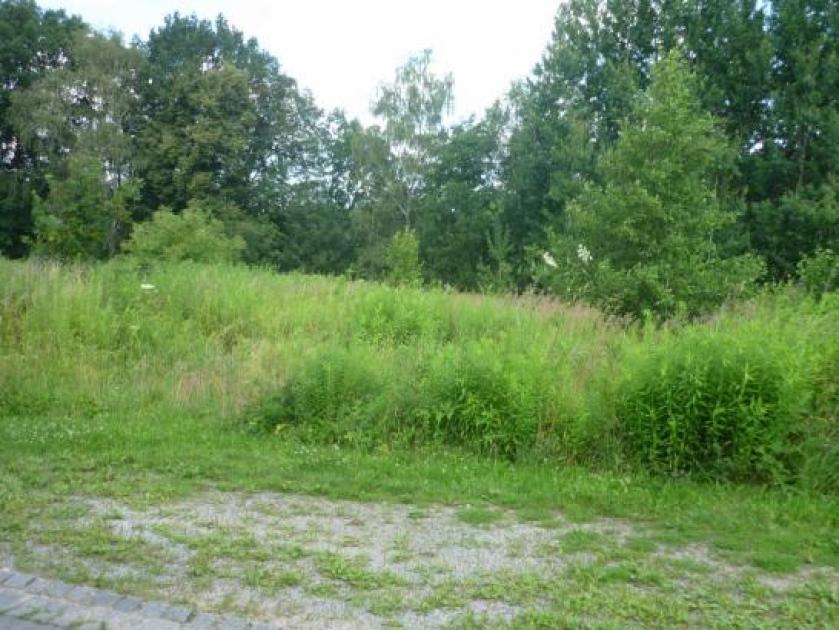 Grundstück kaufen Kirschau max zb92z7svwh64