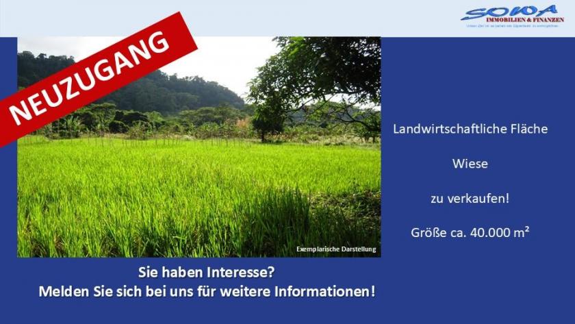 Grundstück kaufen Königsmoos max e7xfk5jbovc5