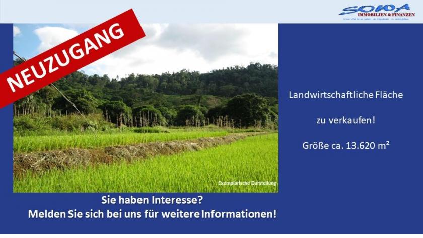 Grundstück kaufen Königsmoos max mbax9tf0fu84