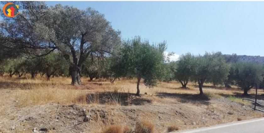 Grundstück kaufen Kousses max rf1hwj90rypi