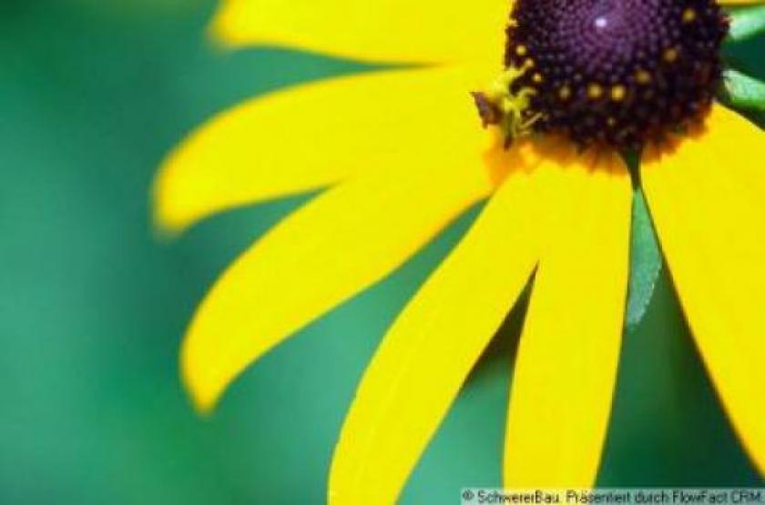 Grundstück kaufen Landau max 11xkjluob5lz