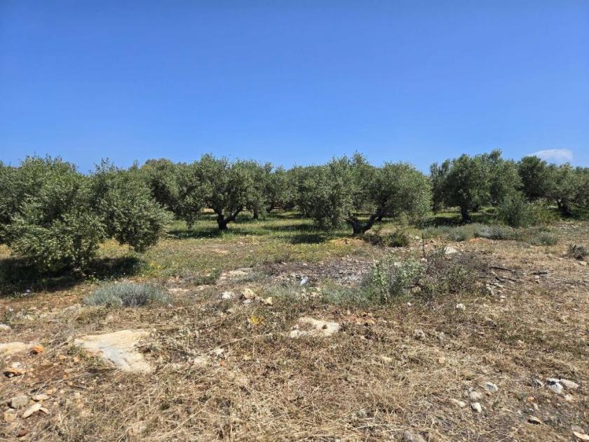 Grundstück kaufen Latsima max 608u0uz4dyel