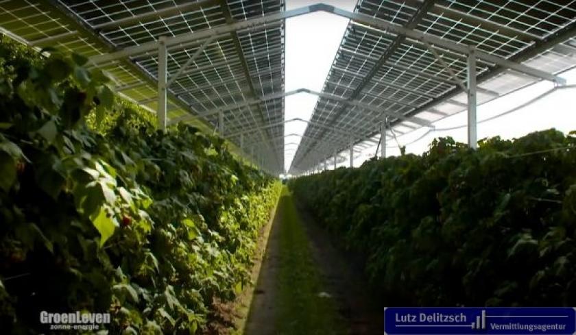 Grundstück kaufen Le Robert max igivm7vkkjwq