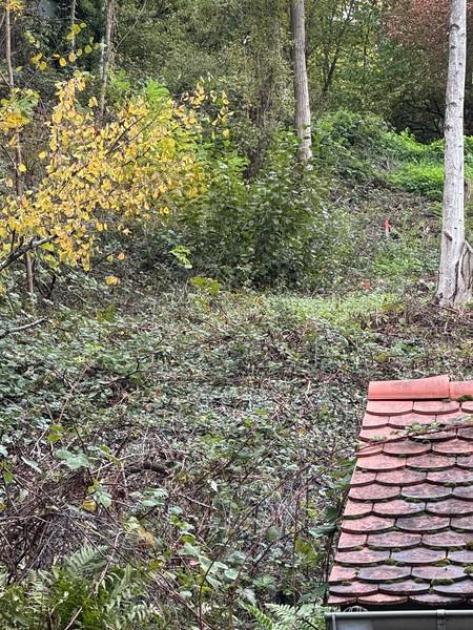 Grundstück kaufen Leinsweiler max erdhhwy12irg