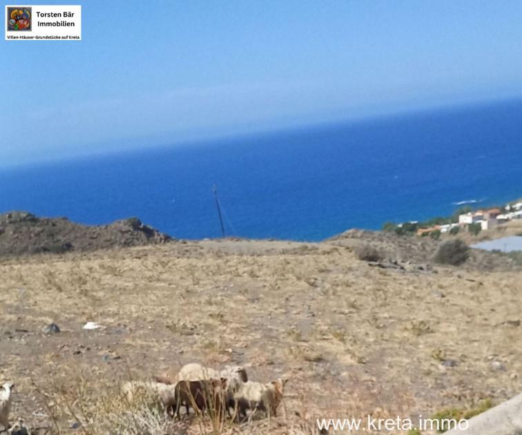 Grundstück kaufen Lentas max q4ophi8u1jvq