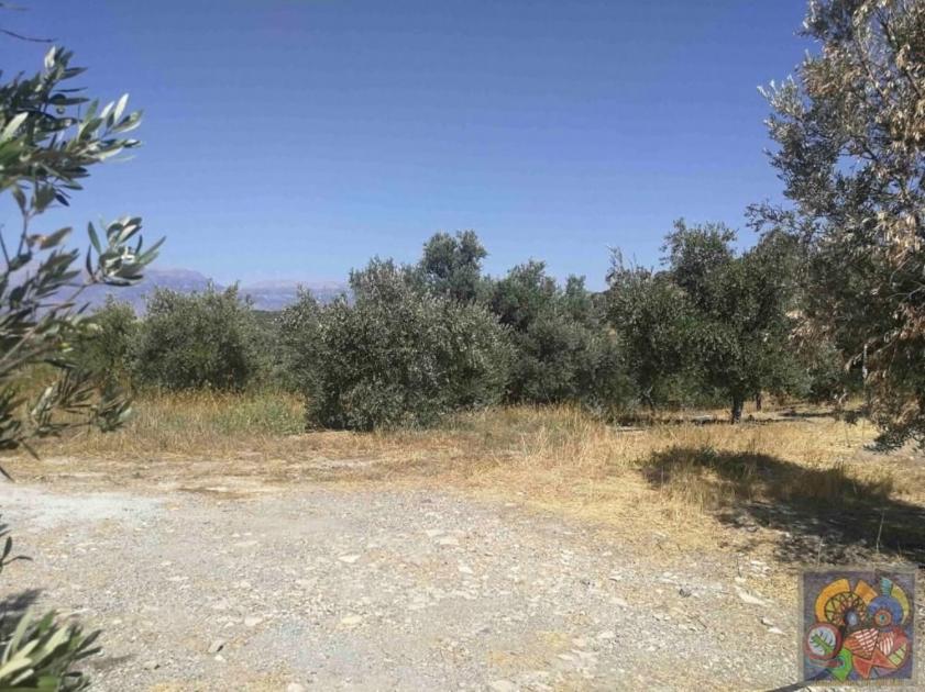 Grundstück kaufen Listaros max j5eck175jodg