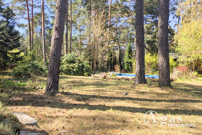 Grundstück kaufen Mittenwalde (Landkreis Dahme-Spreewald) max iryjkme8vqhe