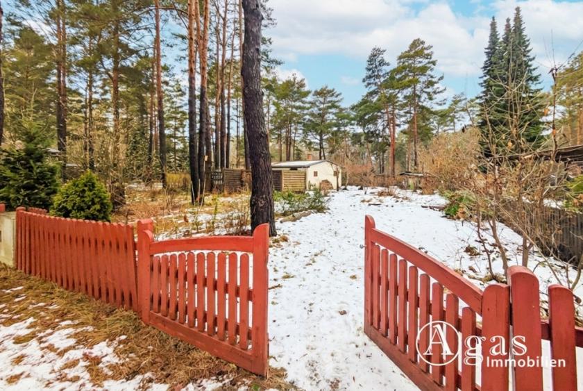 Grundstück kaufen Mittenwalde (Landkreis Dahme-Spreewald) max lkvylu6moxd8