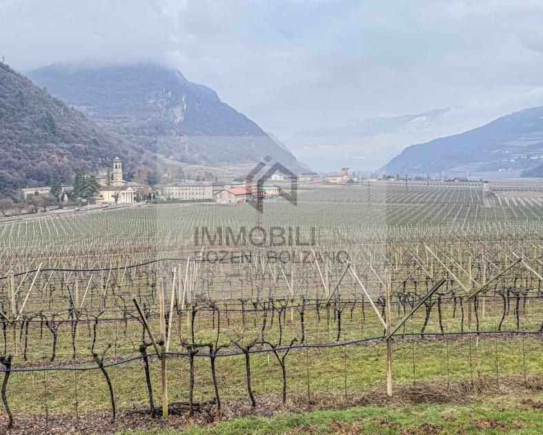 Grundstück kaufen Moringen max 6k4djd9ptrlf