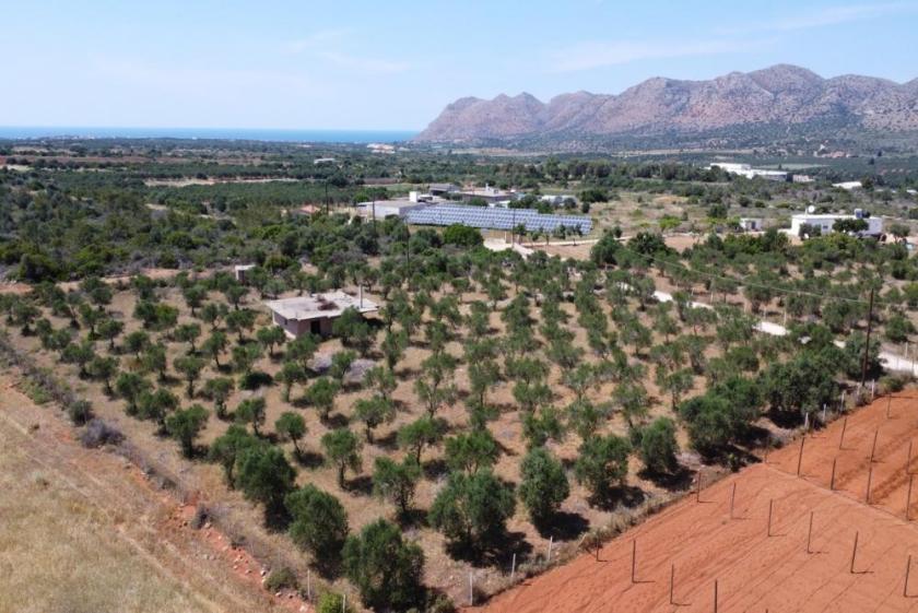 Grundstück kaufen Mouzouras max ka0oyshgx3e9