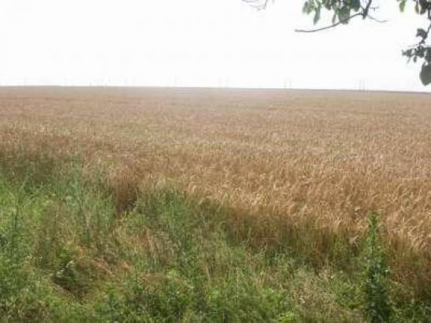 Grundstück kaufen München max un4wkj9yi0j3