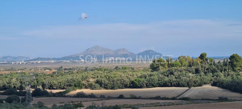 Grundstück kaufen Muro max l5t7q5fbr81l