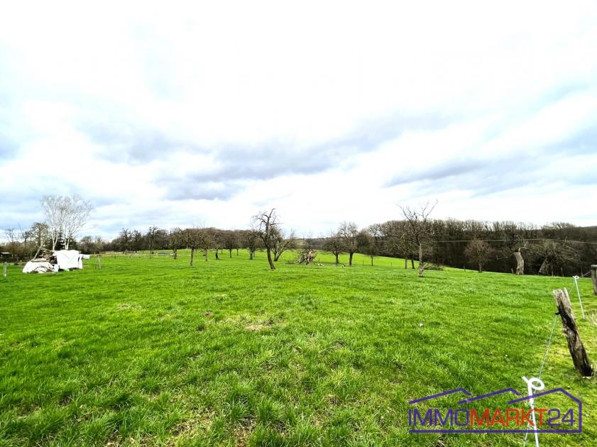 Grundstück kaufen Neunkirchen-Seelscheid max u0wn07jdw3gr