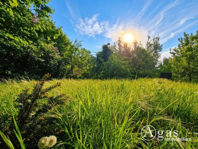 Grundstück kaufen Petershagen (Landkreis Märkisch-Oderland) max 3mn7p7m9jiyq