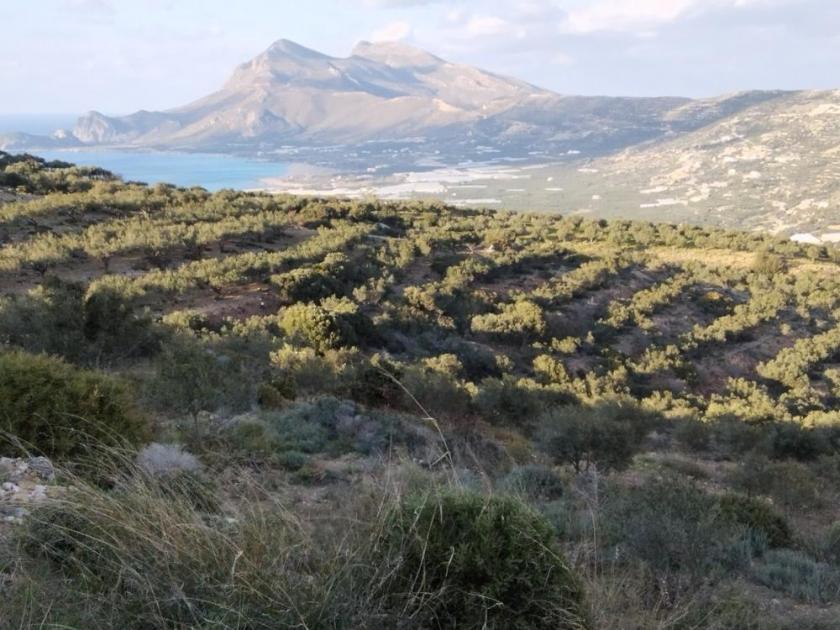 Grundstück kaufen Phalasarna max e4q6dxki9wr3