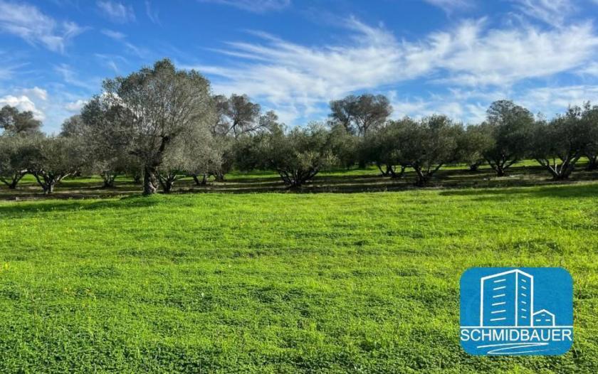 Grundstück kaufen Pitsidia max 3vw0cp92bogw