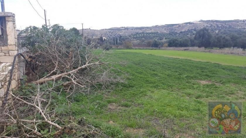 Grundstück kaufen Pitsidia max bs5q8c92l3da