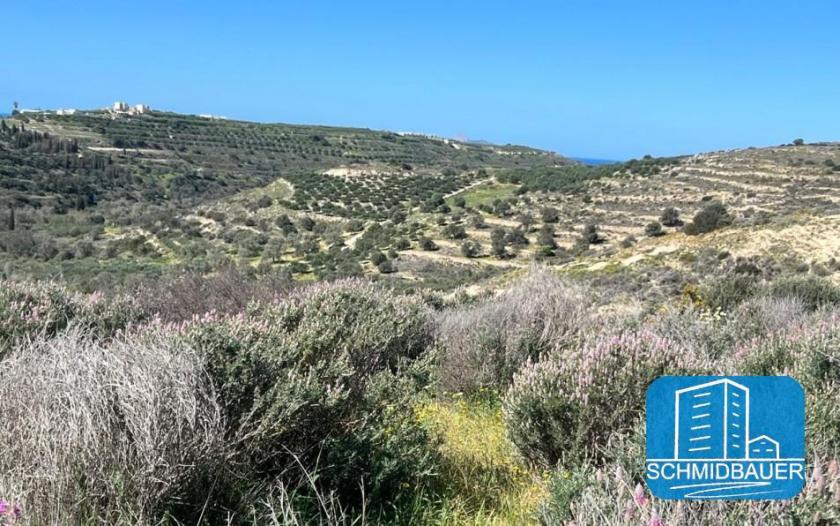 Grundstück kaufen Pitsidia max do43kyndypqv