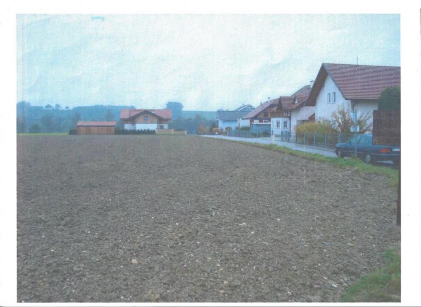 Grundstück kaufen Polling max 803wffe7cazj