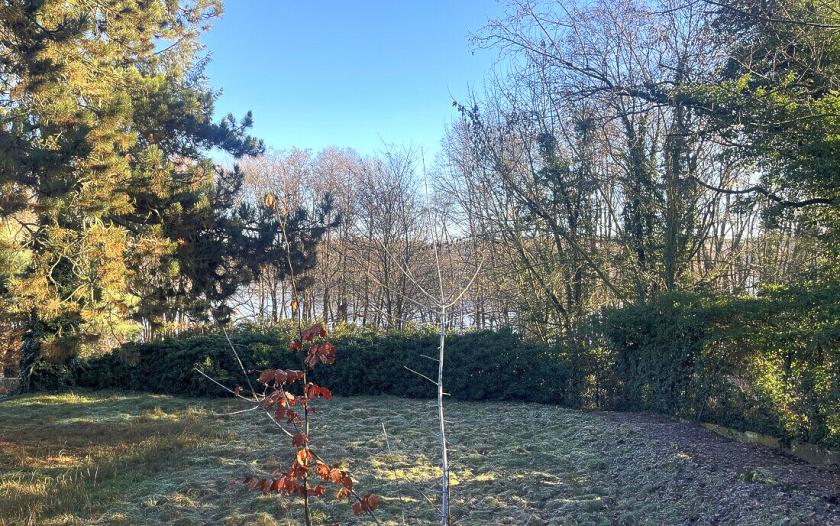 Grundstück kaufen Potsdam max xlkbewvqdecw